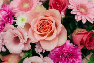 y{zA[gpl {[h artmart A[g}[g ʐ^ A~t[  Y R[fBl[g ǎ z EH[XebJ[ tHg   ItBX ze  a@ z[