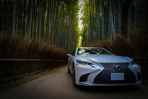 NTX LS500 500h JX^y{zA[g{[h A[gpl artmart A[g}[g Gʐ^A~t[ŕ\Bǎ z EH[XebJ[ Ǌ| tHgt[ł̃C