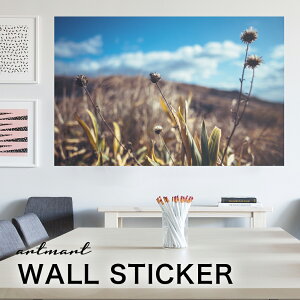 EH[XebJ[ A[gpl A[g ǎV[ ǃV[ CeA XebJ[ ʐ^  ǎ k R   lC Y  Vbv rO ItBX _CjO 