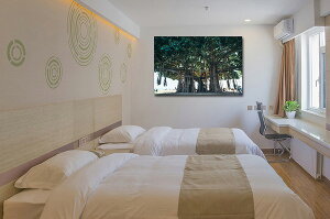 y{zA[gpl {[h artmart A[g}[g ʐ^ A~t[  Y R[fBl[g ǎ z EH[XebJ[ tHg   ItBX ze  a@ z[