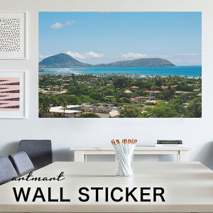 EH[XebJ[ A[gpl A[g ǎV[ ǃV[ CeA XebJ[ ʐ^  ǎ k R   lC Y  Vbv rO ItBX _CjO 