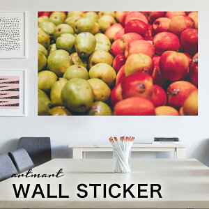 EH[XebJ[ A[gpl A[g ǎV[ ǃV[ CeA XebJ[ ʐ^  ǎ k R   lC Y  Vbv rO ItBX _CjO 