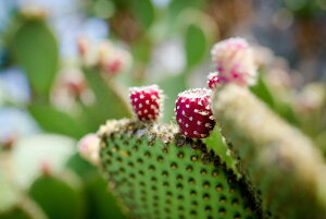 y{zA[gpl {[h artmart A[g}[g ʐ^ A~t[  Y R[fBl[g ǎ z EH[XebJ[ tHg   ItBX ze  a@ z[