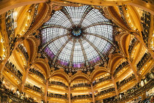 y{zA[gpl {[h artmart A[g}[g ʐ^ A~t[  Y R[fBl[g ǎ z EH[XebJ[ tHg   ItBX ze  a@ z[