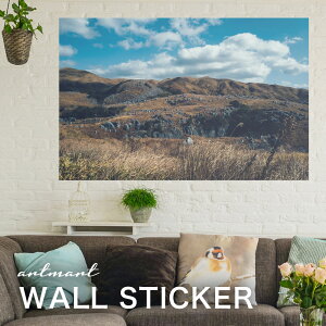 EH[XebJ[ A[gpl A[g ǎV[ ǃV[ CeA XebJ[ ʐ^  ǎ k R   lC Y  Vbv rO ItBX _CjO 