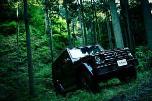 ZfXxc GNX Qf AMG G63 G550 G350d W463^ JX^y{zA[g{[h A[gpl artmart A[g}[g ǎ z EH[XebJ[ tHgt[ŕ̃C[W