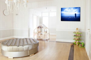 y{zA[gpl {[h artmart A[g}[g ʐ^ A~t[  Y R[fBl[g ǎ z EH[XebJ[ tHg   ItBX ze  a@ z[