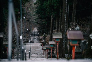 y{zA[gpl {[h artmart A[g}[g ʐ^ A~t[  Y R[fBl[g ǎ z EH[XebJ[ tHg   ItBX ze  a@ z[