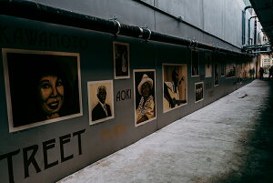 y{zA[gpl {[h artmart A[g}[g ʐ^ A~t[  Y R[fBl[g ǎ z EH[XebJ[ tHg   ItBX ze  a@ z[