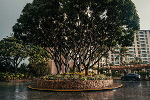 y{zA[gpl {[h artmart A[g}[g ʐ^ A~t[  Y R[fBl[g ǎ z EH[XebJ[ tHg   ItBX ze  a@ z[