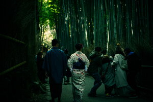 y{zA[gpl {[h artmart A[g}[g ʐ^ A~t[  Y R[fBl[g ǎ z EH[XebJ[ tHg   ItBX ze  a@ z[