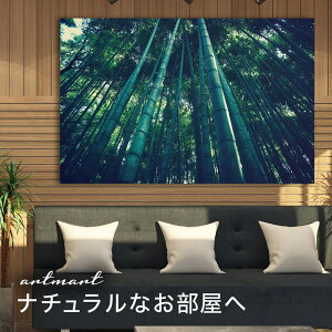 y{zA[gpl {[h artmart A[g}[g ʐ^ A~t[  Y R[fBl[g ǎ z EH[XebJ[ tHg   ItBX ze  a@ z[