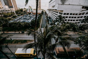 y{zA[gpl {[h artmart A[g}[g ʐ^ A~t[  Y R[fBl[g ǎ z EH[XebJ[ tHg   ItBX ze  a@ z[