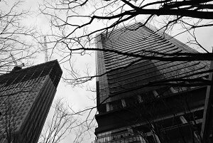 y{zA[gpl {[h artmart A[g}[g ʐ^ A~t[  Y R[fBl[g ǎ z EH[XebJ[ tHg   ItBX ze  a@ z[