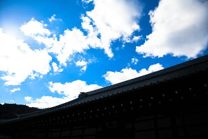 y{zA[gpl {[h artmart A[g}[g ʐ^ A~t[  Y R[fBl[g ǎ z EH[XebJ[ tHg   ItBX ze  a@ z[