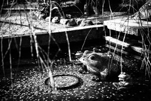 【日本製】アートパネル ボード artmart アートマート 写真 アルミフレーム おしゃれ 綺麗 コーディネート 壁紙 額縁 ウォールステッカー フォト 小物 部屋 オフィス ホテル 旅館 病院 ホール