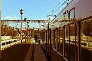 y{zA[gpl {[h artmart A[g}[g ʐ^ A~t[  Y R[fBl[g ǎ z EH[XebJ[ tHg   ItBX ze  a@ z[