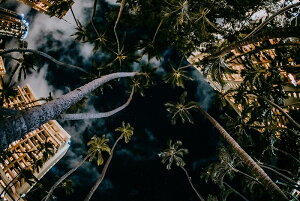 y{zA[gpl {[h artmart A[g}[g ʐ^ A~t[  Y R[fBl[g ǎ z EH[XebJ[ tHg   ItBX ze  a@ z[