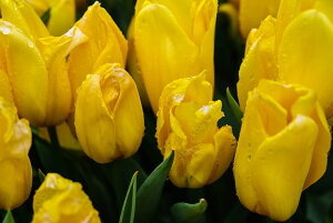 y{zA[gpl {[h artmart A[g}[g ʐ^ A~t[  Y R[fBl[g ǎ z EH[XebJ[ tHg   ItBX ze  a@ z[