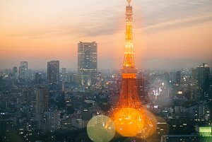 y{zA[gpl {[h artmart A[g}[g ʐ^ A~t[  Y R[fBl[g ǎ z EH[XebJ[ tHg   ItBX ze  a@ z[