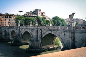 y{zA[gpl {[h artmart A[g}[g ʐ^ A~t[  Y R[fBl[g ǎ z EH[XebJ[ tHg   ItBX ze  a@ z[