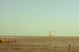 y{zA[gpl {[h artmart A[g}[g ʐ^ A~t[  Y R[fBl[g ǎ z EH[XebJ[ tHg   ItBX ze  a@ z[