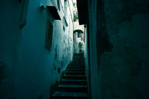 y{zA[gpl {[h artmart A[g}[g ʐ^ A~t[  Y R[fBl[g ǎ z EH[XebJ[ tHg   ItBX ze  a@ z[