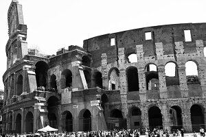 y{zA[gpl {[h artmart A[g}[g ʐ^ A~t[  Y R[fBl[g ǎ z EH[XebJ[ tHg   ItBX ze  a@ z[