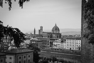 y{zA[gpl {[h artmart A[g}[g ʐ^ A~t[  Y R[fBl[g ǎ z EH[XebJ[ tHg   ItBX ze  a@ z[