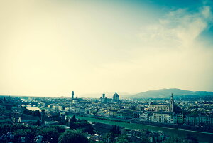 y{zA[gpl {[h artmart A[g}[g ʐ^ A~t[  Y R[fBl[g ǎ z EH[XebJ[ tHg   ItBX ze  a@ z[