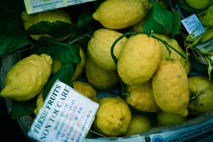 y{zA[gpl {[h artmart A[g}[g ʐ^ A~t[  Y R[fBl[g ǎ z EH[XebJ[ tHg   ItBX ze  a@ z[