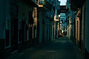 y{zA[gpl {[h artmart A[g}[g ʐ^ A~t[  Y R[fBl[g ǎ z EH[XebJ[ tHg   ItBX ze  a@ z[