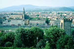 y{zA[gpl {[h artmart A[g}[g ʐ^ A~t[  Y R[fBl[g ǎ z EH[XebJ[ tHg   ItBX ze  a@ z[