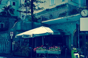 y{zA[gpl {[h artmart A[g}[g ʐ^ A~t[  Y R[fBl[g ǎ z EH[XebJ[ tHg   ItBX ze  a@ z[