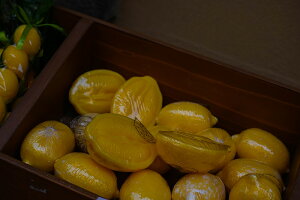 y{zA[gpl {[h artmart A[g}[g ʐ^ A~t[  Y R[fBl[g ǎ z EH[XebJ[ tHg   ItBX ze  a@ z[