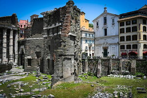 y{zA[gpl {[h artmart A[g}[g ʐ^ A~t[  Y R[fBl[g ǎ z EH[XebJ[ tHg   ItBX ze  a@ z[