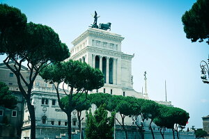 y{zA[gpl {[h artmart A[g}[g ʐ^ A~t[  Y R[fBl[g ǎ z EH[XebJ[ tHg   ItBX ze  a@ z[