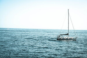 【日本製】アートパネル ボード artmart アートマート 写真 アルミフレーム おしゃれ 綺麗 コーディネート 壁紙 額縁 ウォールステッカー フォト 小物 部屋 オフィス ホテル 旅館 病院 ホール