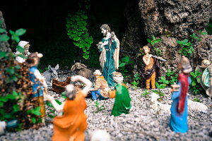 y{zA[gpl {[h artmart A[g}[g ʐ^ A~t[  Y R[fBl[g ǎ z EH[XebJ[ tHg   ItBX ze  a@ z[