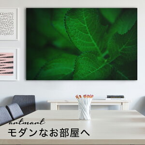 y{zA[gpl {[h artmart A[g}[g ʐ^ A~t[  Y R[fBl[g ǎ z EH[XebJ[ tHg   ItBX ze  a@ z[