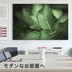 y{zA[gpl {[h artmart A[g}[g ʐ^ A~t[  Y R[fBl[g ǎ z EH[XebJ[ tHg   ItBX ze  a@ z[