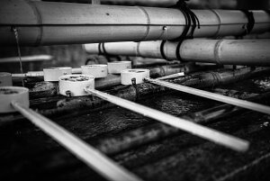 y{zA[gpl {[h artmart A[g}[g ʐ^ A~t[  Y R[fBl[g ǎ z EH[XebJ[ tHg   ItBX ze  a@ z[