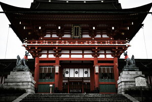 y{zA[gpl {[h artmart A[g}[g ʐ^ A~t[  Y R[fBl[g ǎ z EH[XebJ[ tHg   ItBX ze  a@ z[