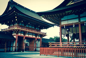 y{zA[gpl {[h artmart A[g}[g ʐ^ A~t[  Y R[fBl[g ǎ z EH[XebJ[ tHg   ItBX ze  a@ z[