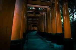 y{zA[gpl {[h artmart A[g}[g ʐ^ A~t[  Y R[fBl[g ǎ z EH[XebJ[ tHg   ItBX ze  a@ z[