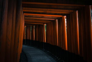 y{zA[gpl {[h artmart A[g}[g ʐ^ A~t[  Y R[fBl[g ǎ z EH[XebJ[ tHg   ItBX ze  a@ z[