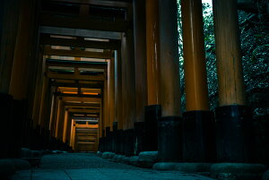 y{zA[gpl {[h artmart A[g}[g ʐ^ A~t[  Y R[fBl[g ǎ z EH[XebJ[ tHg   ItBX ze  a@ z[