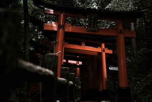 y{zA[gpl {[h artmart A[g}[g ʐ^ A~t[  Y R[fBl[g ǎ z EH[XebJ[ tHg   ItBX ze  a@ z[