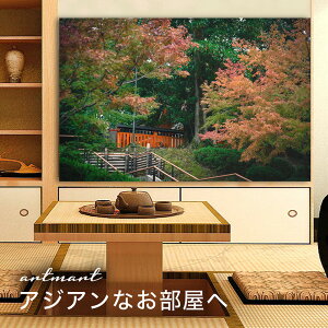 y{zA[gpl {[h artmart A[g}[g ʐ^ A~t[  Y R[fBl[g ǎ z EH[XebJ[ tHg   ItBX ze  a@ z[