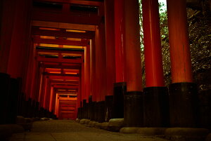 y{zA[gpl {[h artmart A[g}[g ʐ^ A~t[  Y R[fBl[g ǎ z EH[XebJ[ tHg   ItBX ze  a@ z[